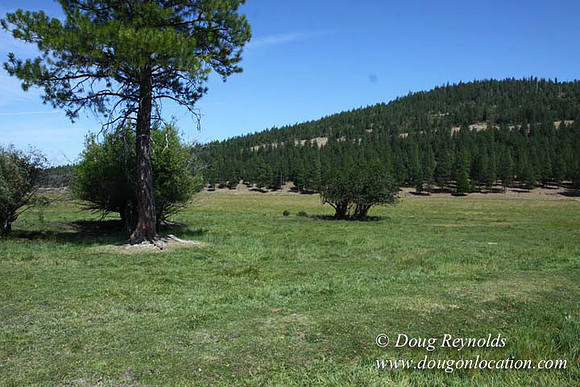 Ranch 18 South side of Hwy  has 2500 Acres of green fields Creeks water crossing Bridges on a Large Lake and miles of Dirt roads Oak trees  Forest land ATV Trails cows
