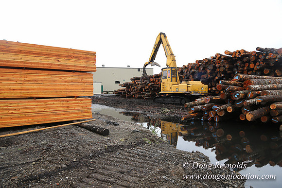 Saw Mill and Lumber Yard