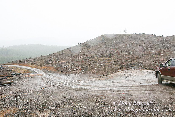WC Clear Cut 2010-7821