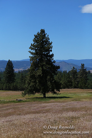 Brothers Ranch-8440