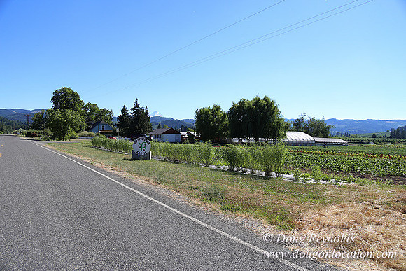 Thompson Rd Farm-8261