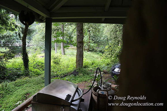 Small, Cabin, Home, River, OR, Oregon, Green, Yard,