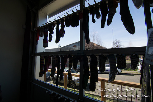 Spin Laundry-2719