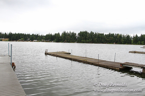 Cabin, Curtis, Dock, Green, Home, Lake, Small, WA, Washington, Yard, Yard, deck