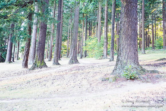 Mt Tabor Tennis Courts