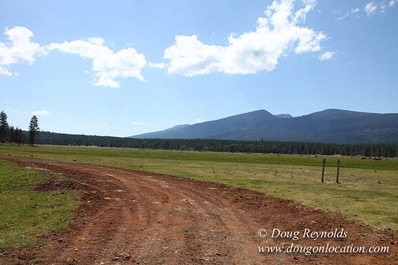 Ranch 18 South side of Hwy  has 2500 Acres of green fields Creeks water crossing Bridges on a Large Lake and miles of Dirt roads Oak trees  Forest land ATV Trails cows