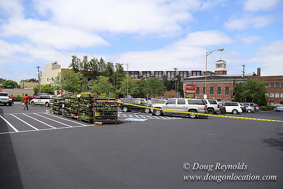 Hollywood FM Lot-7286