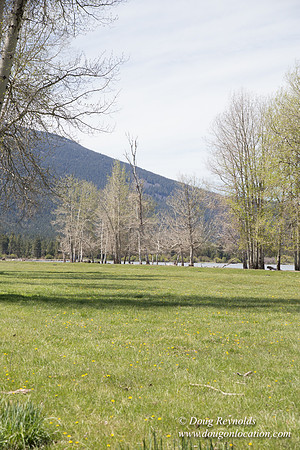 Ranch 18