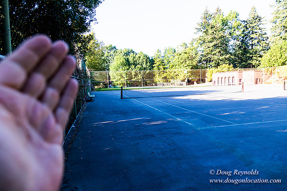 Kenilworth Courts
