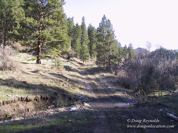 Ranch 7