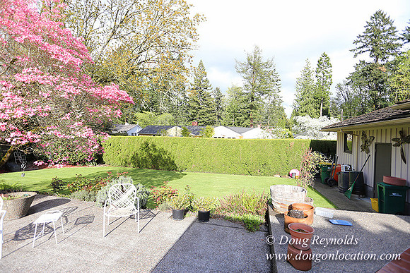 Mid Century Traditional Style Home, With a Basement, 2 car garage average sized Back Yard with Patio