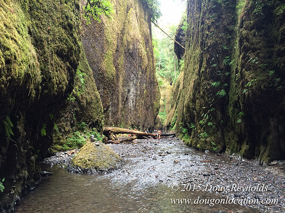Oneonta Falls