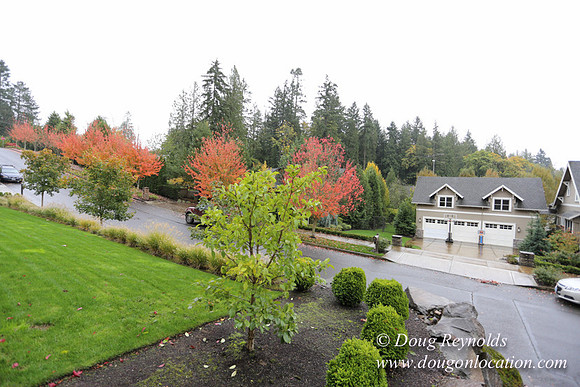 Kathy's House-0407