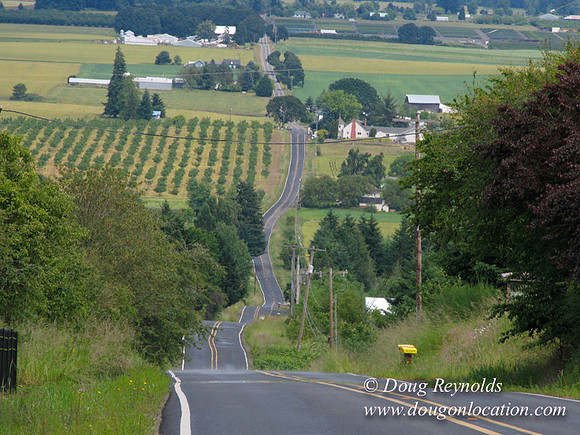 Laurel Hill Road 48519