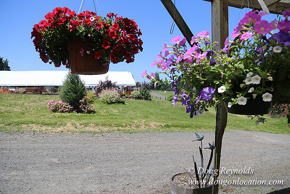 lee Farms-5287