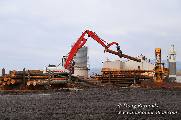 SDS Lumber-1306