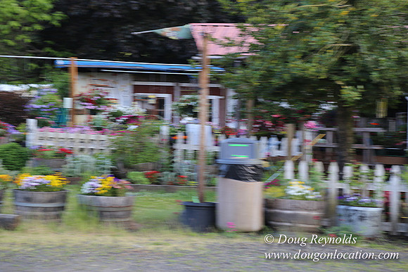 Jim Dandy Farm-5067