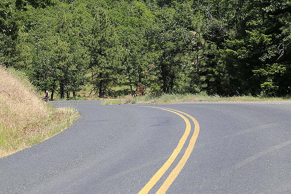 Canyon Rd 2-7967