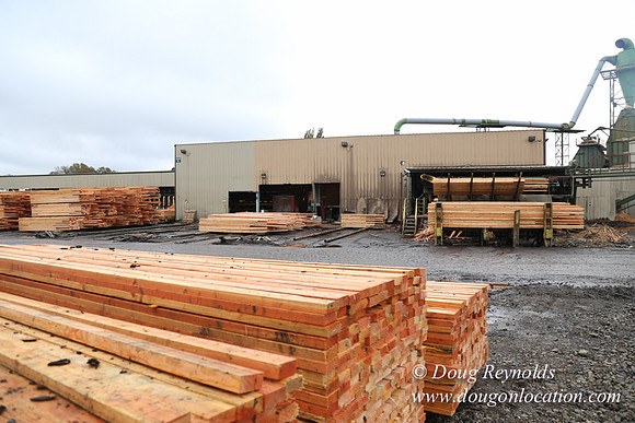 Saw Mill and Lumber Yard