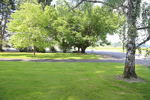 Dale's Penny Ln-4917