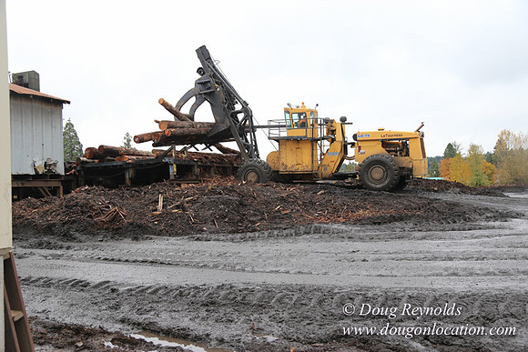 Saw Mill and Lumber Yard