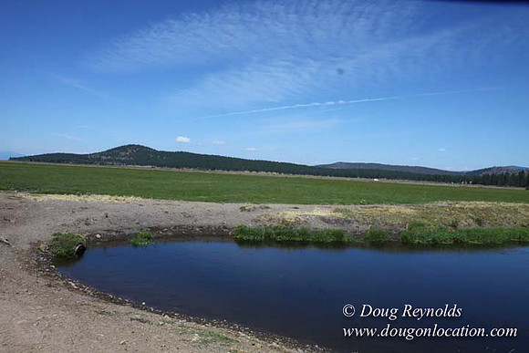 Ranch 18 South side of Hwy  has 2500 Acres of green fields Creeks water crossing Bridges on a Large Lake and miles of Dirt roads Oak trees  Forest land ATV Trails cows