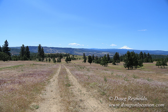 Brothers Ranch-8415