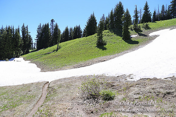 Medow's Snow-5798