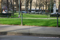 Chapman Square-0452