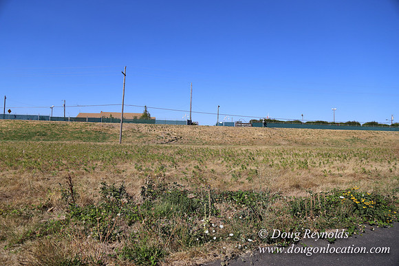 West End S Runway-4938