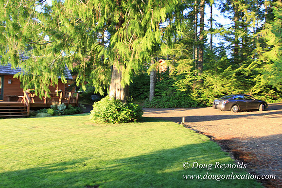 Boat, Cabin, Dock, "Doug's House lake", Home, WA, Washington, Yard, deck, "green. Beach"