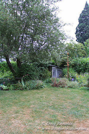 Laura’s Home This is a Portland Bungalow Style small home with a average sized and interesting back yard, nice garden with bee hive’s