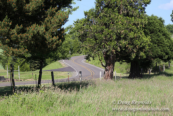 Helvetia rd at Mikes-6001