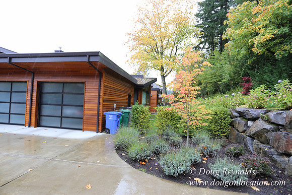 Kathy's House-0450