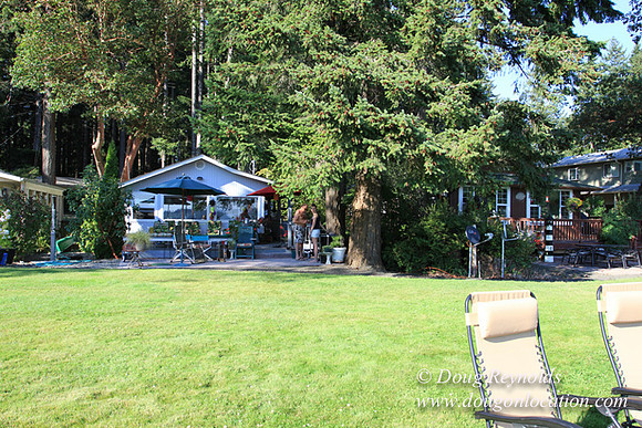 Boat, Cabin, Dave's, Dock, Home, "House lake", Ocean, "Puget Sound", Salt, Small, WA, Washington, Water, Yard, deck, "green. Beach", vacation