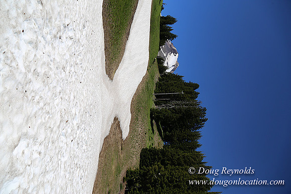 Medow's Snow-5817