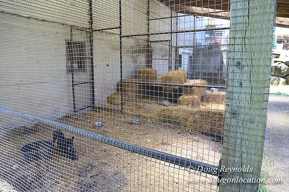 lee Farms-5272