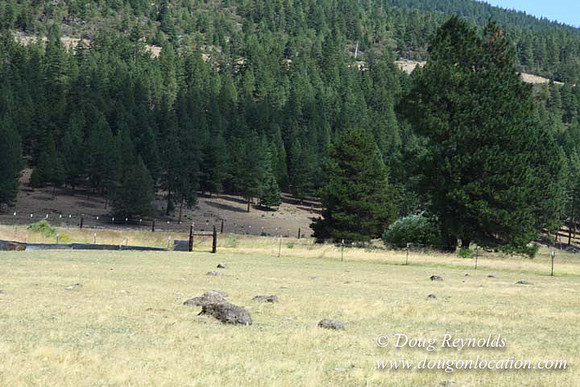 Ranch 18 South side of Hwy  has 2500 Acres of green fields Creeks water crossing Bridges on a Large Lake and miles of Dirt roads Oak trees  Forest land ATV Trails cows