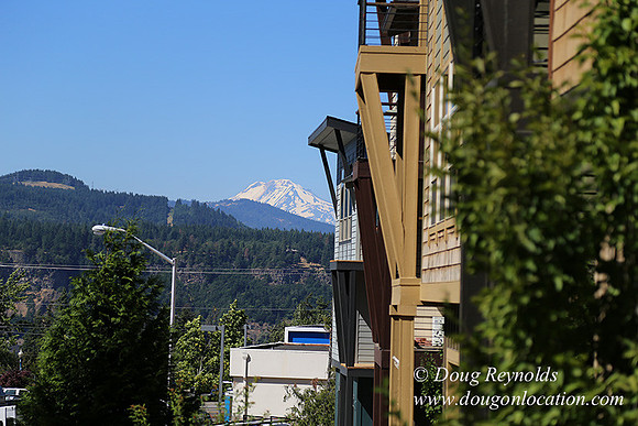 Silkirk Town Homes-8180