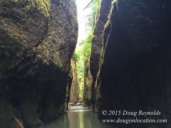 Oneonta Falls