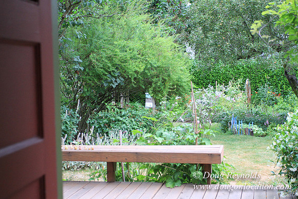Laura’s Home This is a Portland Bungalow Style small home with a average sized and interesting back yard, nice garden with bee hive’s