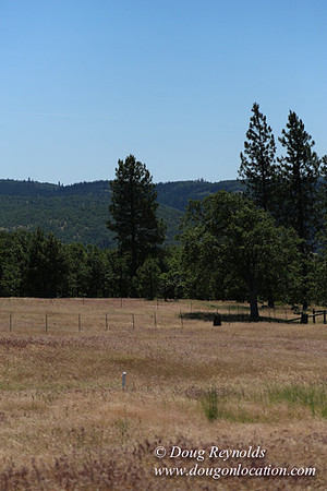 Brothers Ranch-8426