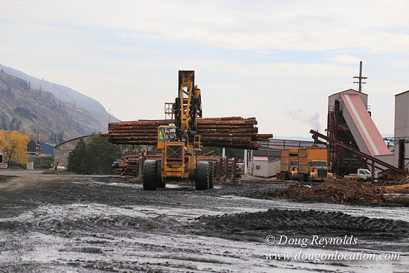 SDS Lumber-1331