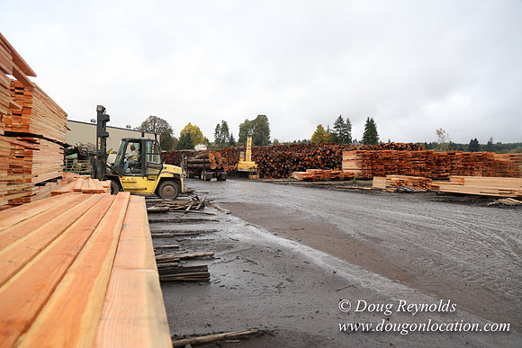 Saw Mill and Lumber Yard