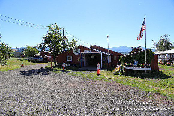 Thompson Rd Farm-8277