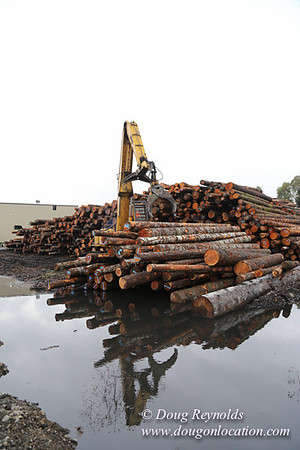 Saw Mill and Lumber Yard