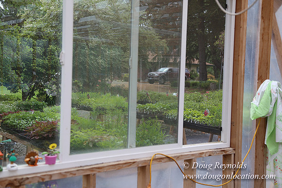 Shere's Garden Flowers & produce