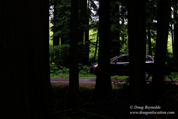 Larch Mt Rd