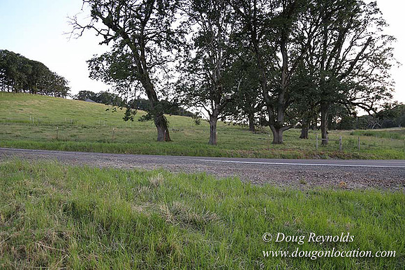 Spring Valley Rd