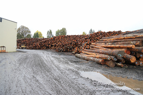 Saw Mill and Lumber Yard